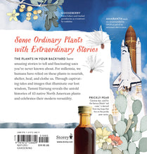 Load image into Gallery viewer, Cattail Moonshine & Milkweed Medicine