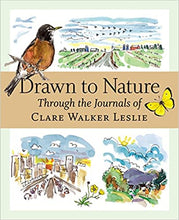Load image into Gallery viewer, Drawn to Nature