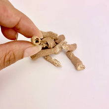 Load image into Gallery viewer, Fulgurite - FOSSILIZED LIGHTNING | 35-45mm | Morocco