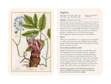 Load image into Gallery viewer, Healing Plants