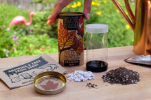 Load image into Gallery viewer, Red Maple | Seed Grow Kit