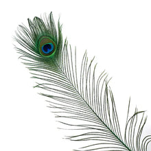 Load image into Gallery viewer, Peacock Feather 18" - 20" (Pack of 1)