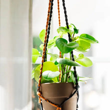 Load image into Gallery viewer, Saree Plant Hanger