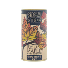 Load image into Gallery viewer, Red Maple | Seed Grow Kit