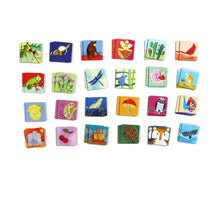 Load image into Gallery viewer, Life On Earth Memory &amp; Matching Game
