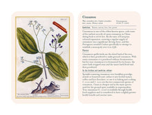 Load image into Gallery viewer, Healing Plants