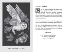 Load image into Gallery viewer, Woodland Wardens by Jessica  Roux