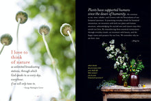 Load image into Gallery viewer, The Generosity Of Plants
