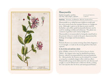 Load image into Gallery viewer, Healing Plants