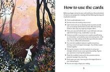 Load image into Gallery viewer, Enchanted Earth Oracle by Jessica Lahoud