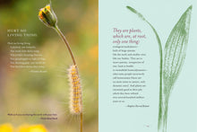 Load image into Gallery viewer, The Generosity Of Plants