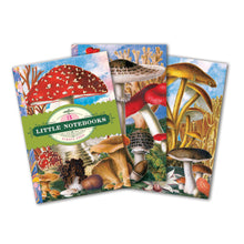Load image into Gallery viewer, Fumiha's Mushroom Little Book Set