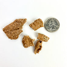 Load image into Gallery viewer, Fulgurite - FOSSILIZED LIGHTNING | 35-45mm | Morocco