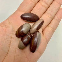 Load image into Gallery viewer, Shiva Lingam "Narmada" | India | Choose a Size!