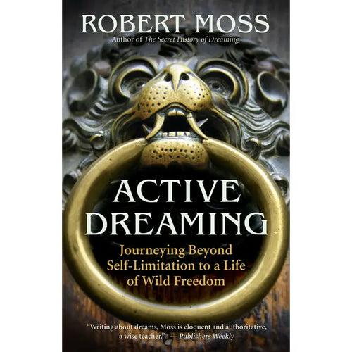 Active Dreaming