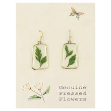 Load image into Gallery viewer, Fern Dried Flower Gold Earrings