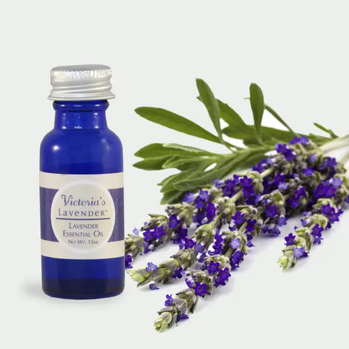 Victoria's Lavender Essential Oil - 15 ml