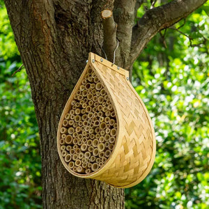 Mason Bee House