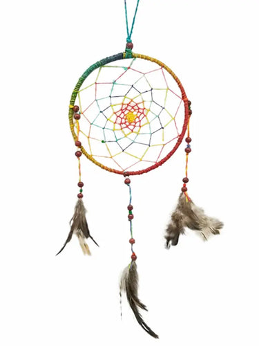 Multi Colored Dream Catcher w/Feathers
