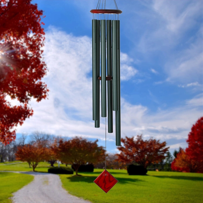 Chimes of Neptune Evergreen