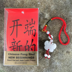 Fung Shui Luck Charm