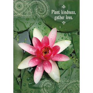 Amber Lotus Greeting Cards