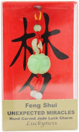 Fung Shui Luck Charm