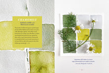 Load image into Gallery viewer, The Generosity Of Plants