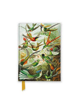 Load image into Gallery viewer, Ernst Haeckel: Hummingbirds (Foiled Pocket Journal) by