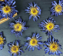 Load image into Gallery viewer, Blue Lotus Whole Flower 6-Pack Sachet Set | 3.5" x 4.75"