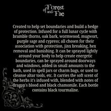 Load image into Gallery viewer, Shielding Ritual Spray • Crystal Infused • Witchcraft