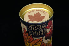 Load image into Gallery viewer, Red Maple | Seed Grow Kit