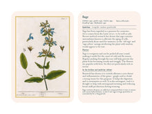 Load image into Gallery viewer, Healing Plants