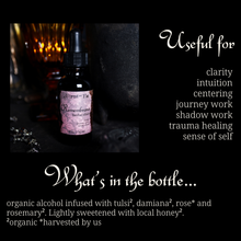 Load image into Gallery viewer, Remembrance Elixir • Herbal Tincture • Journey Work • Witchy