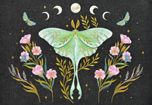 Load image into Gallery viewer, Luna Moth Note Cards