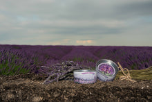 Load image into Gallery viewer, Lavender | Flower Seed Grow Kit