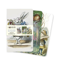 Load image into Gallery viewer, Alice In Wonderland: Set of 3 Mini Notebooks