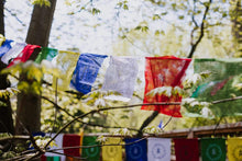 Load image into Gallery viewer, Tibetan Prayer Flags - Large