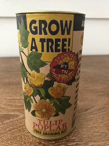 Grow a Tree Kit
